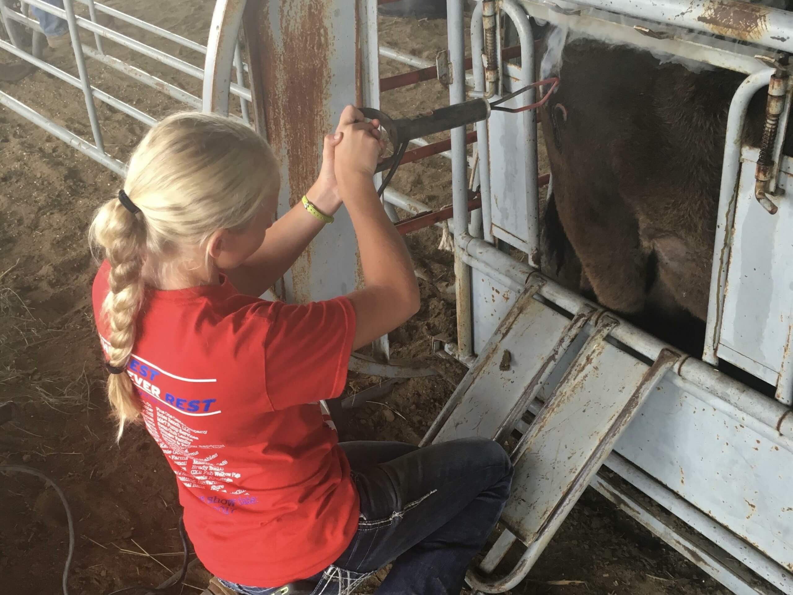 Image for 2021 Kansas FFA Proficiency Award Winners Announced