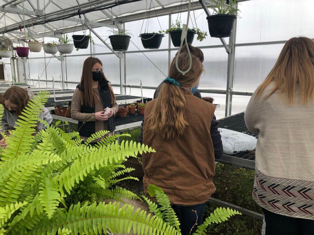 AGEDPIC1PLANTS 1