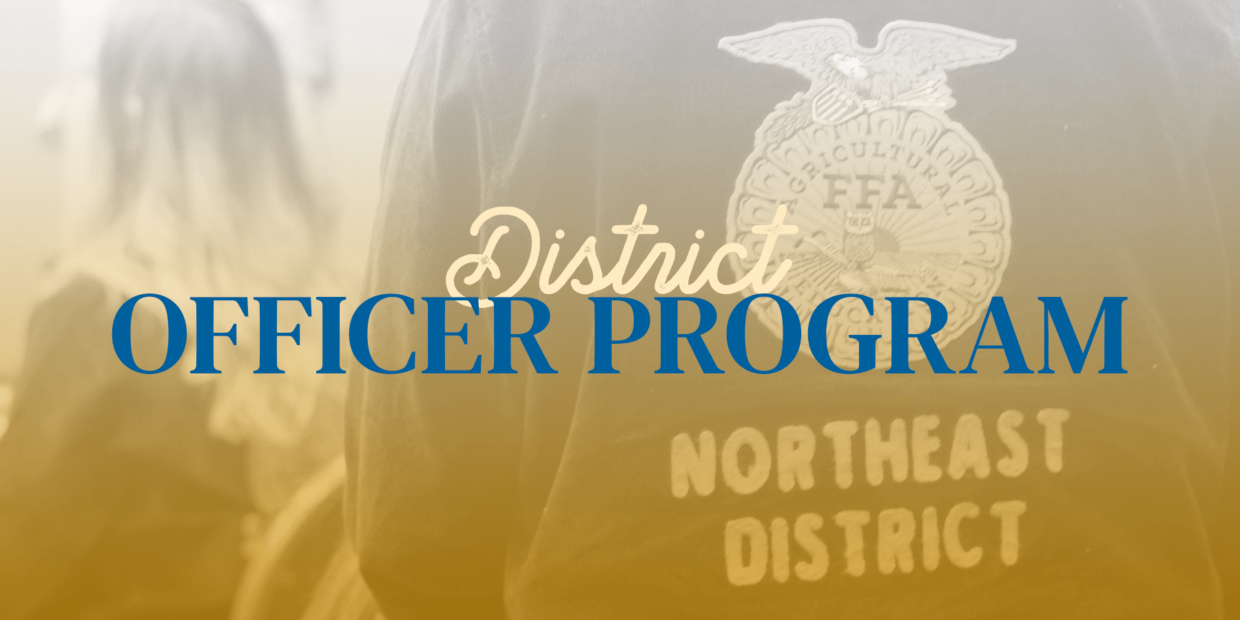 Image for District Officer Program
