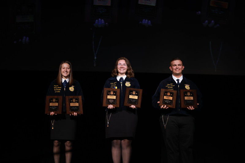 Image for State Star Awards