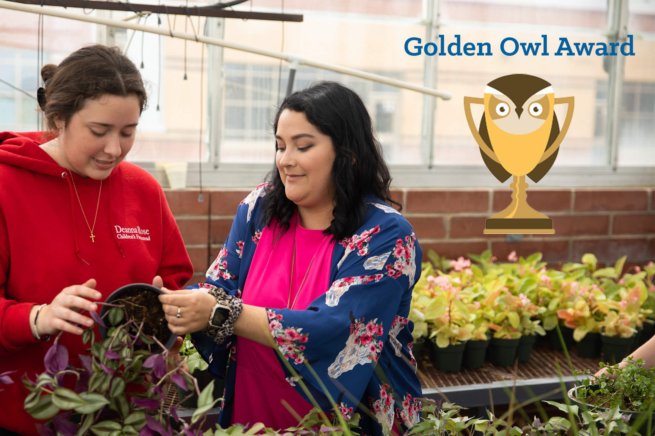 Image for Golden Owl Award